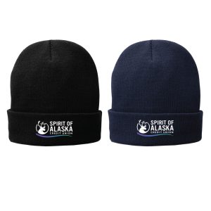 Port Authority Fleece-Lined Knit Beanie